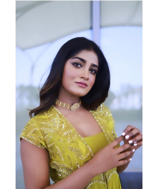 Staggering Poses Of Dimple Hayathi